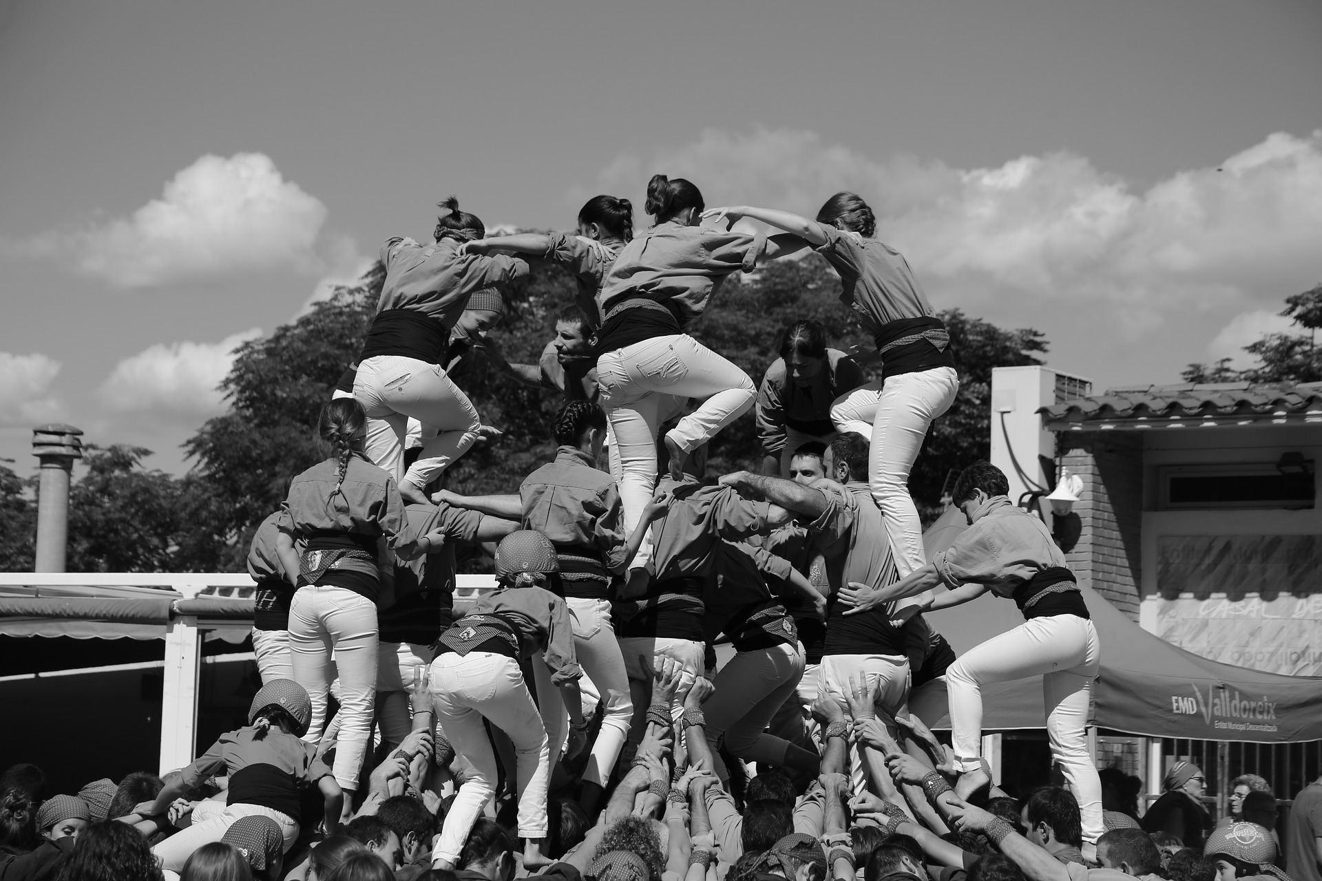 La force du collectif